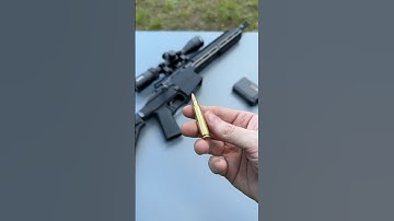 Only 1 Ammo #gun #223 #shorts