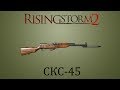 СКС-45 [RISING STORM 2: VIETNAM]