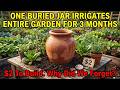 One Buried Jar Irrigates Entire Garden. For 3 Months. $2 To Build. Why Did We Forget?