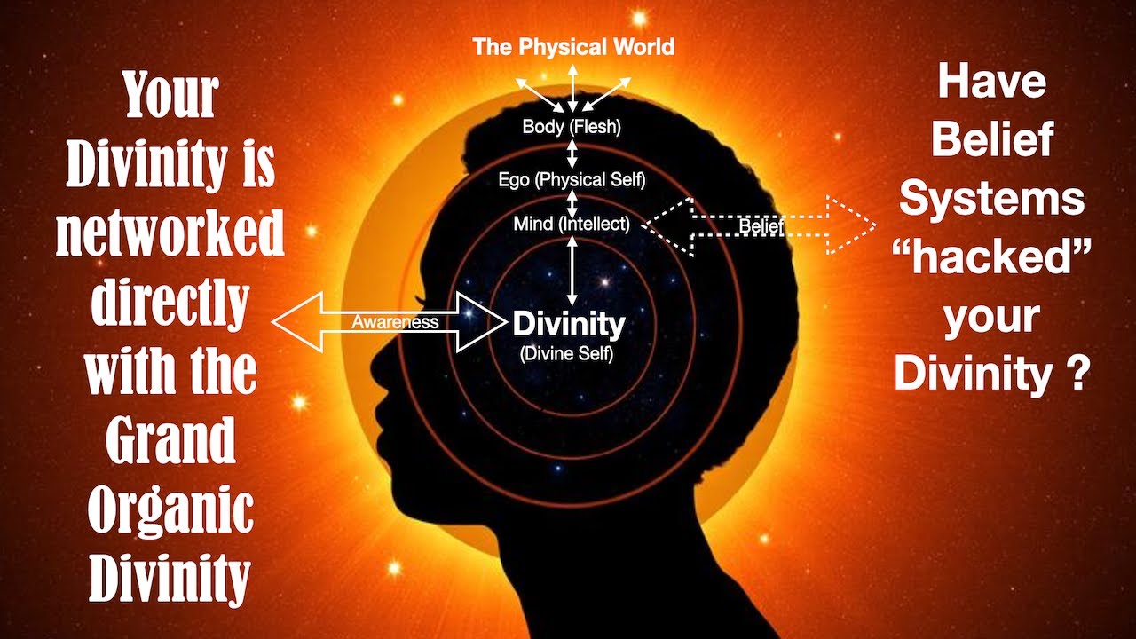 Seeker Learns about how his Divine Self is a Unique component of the Grand Organic Divinity.