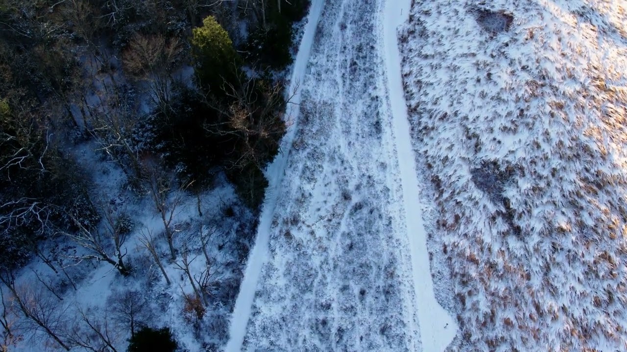 Professional and Paid Work