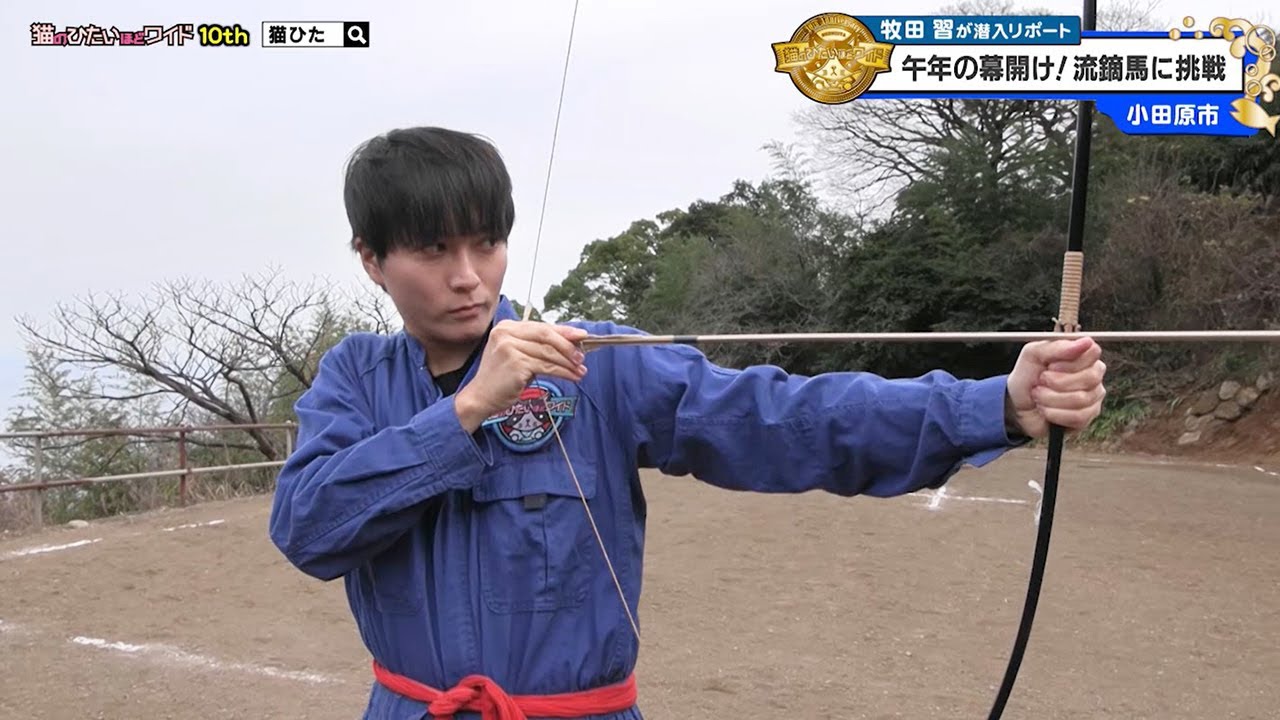 猫のひたいほどワイド #1687 リポート大賞・牧田習「猫ひたの運命を