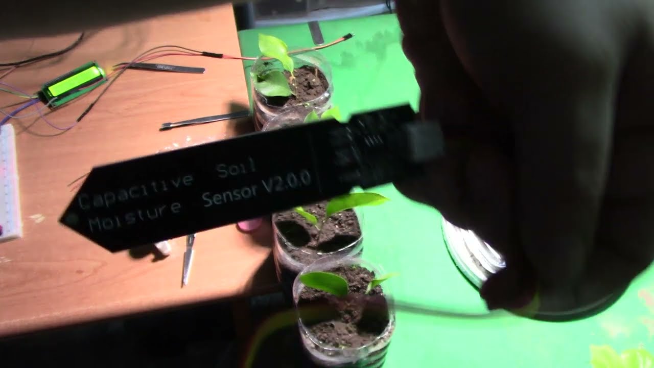 Installo sensori di umidità terreno Arduino nelle talee di bonsai sotto luce a spettro completo