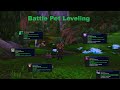 Battle Pet Leveling MoP Classic