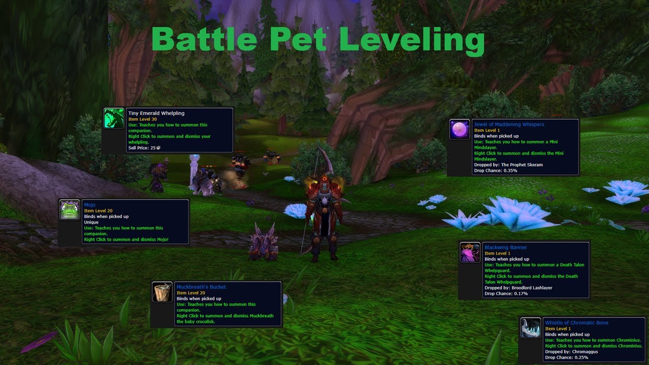 Battle Pet Leveling MoP Classic