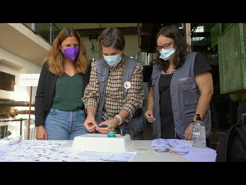 Nuevo programa educativo de ciencia y patrimonio del Museo de la Energía para los centros escolares