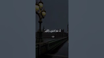 #foryou #yasseraldossary #viral #المصحف #الدوسرى #قرآن #قرآن_كريم #قران_كريم #مصحف_التجويد