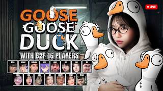 Bebek Bebekan  Goose Goose Duck With B2f