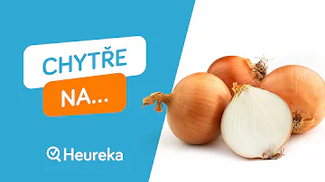 Co jsou obyčejné cibulové slupky?