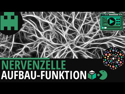 Signalsequenzen einfach erklärt│Biologie Lernvideo [Learning Level Up]. 