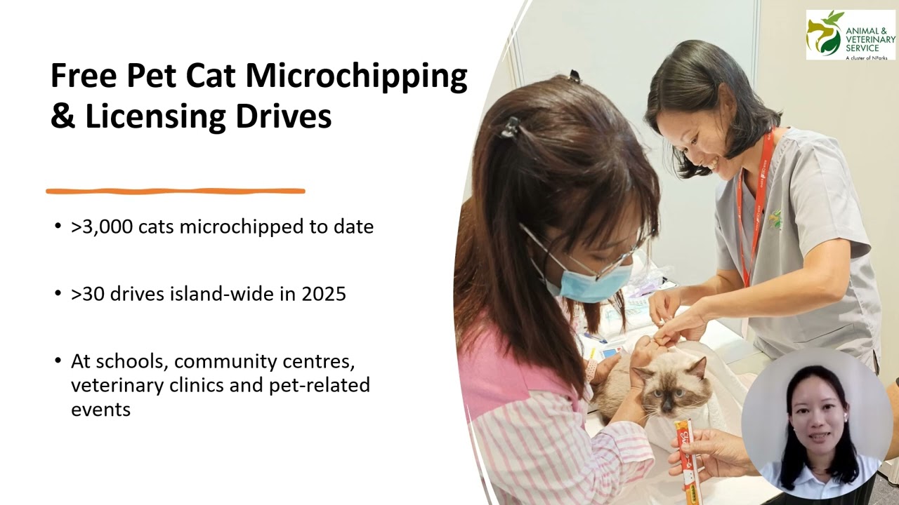 Anhui Lin - Cat Management in the Urban City State of Singapore