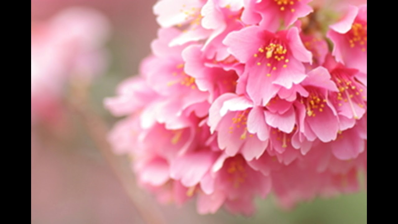 永遠はただの1秒から Jayed X Juju Youtube