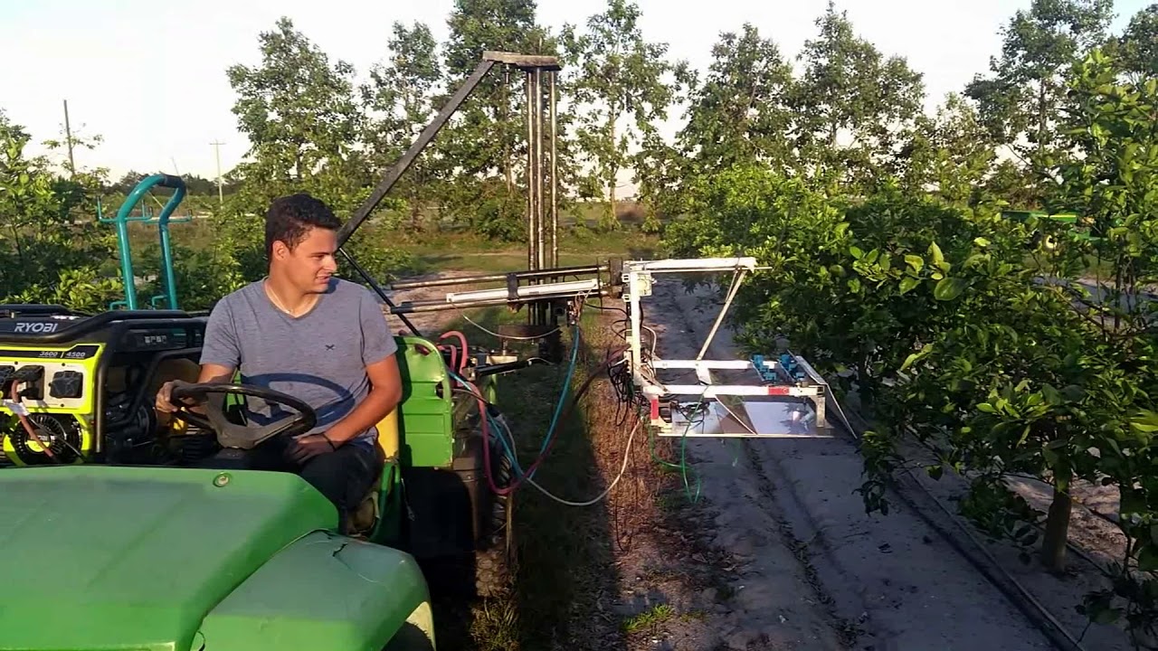 Automated system and method for monitoring and mapping insects (e.g. ACP) in orchards