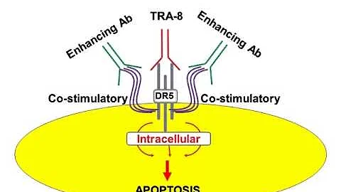 Novel Approaches to the Treatment of Pancreatic Ca...