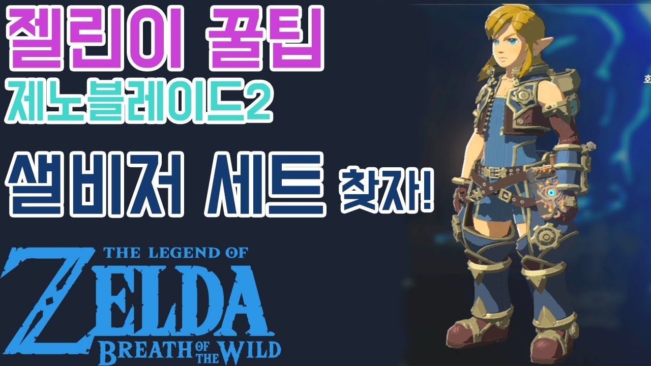 [샐비저세트얻자!]미니챌린지 제노블레이드 크로니클2 젤다의전설: 야생의숨결 The legend of zelda :breath of the wild | GOTY 실황 에이사