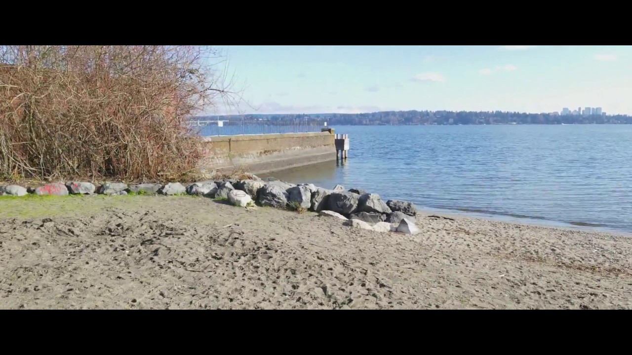 DENNY BLAINE PARK - 13 Photos & 39 Reviews - 200 Lake Washington Blvd E,  Seattle, Washington - Beaches - Phone Number - Yelp