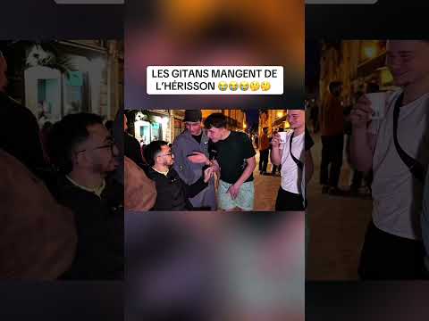 GITANS MANGENT DE L’HERISSON ? #bahaw