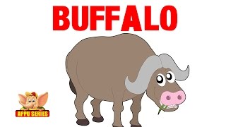 Animal Sounds - Buffalo