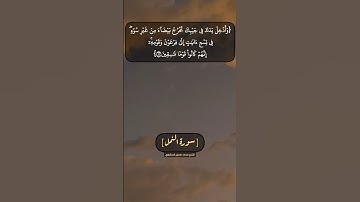 سورة النمل الآية ١٢ الى ١٤ بصوت الشيخ محمد صديق المنشاوي