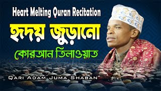 Heart Melting Quran Recitation | Best Quran Tilawat | Qari Adam Juma Shaban | قاري عدم جمة شبان