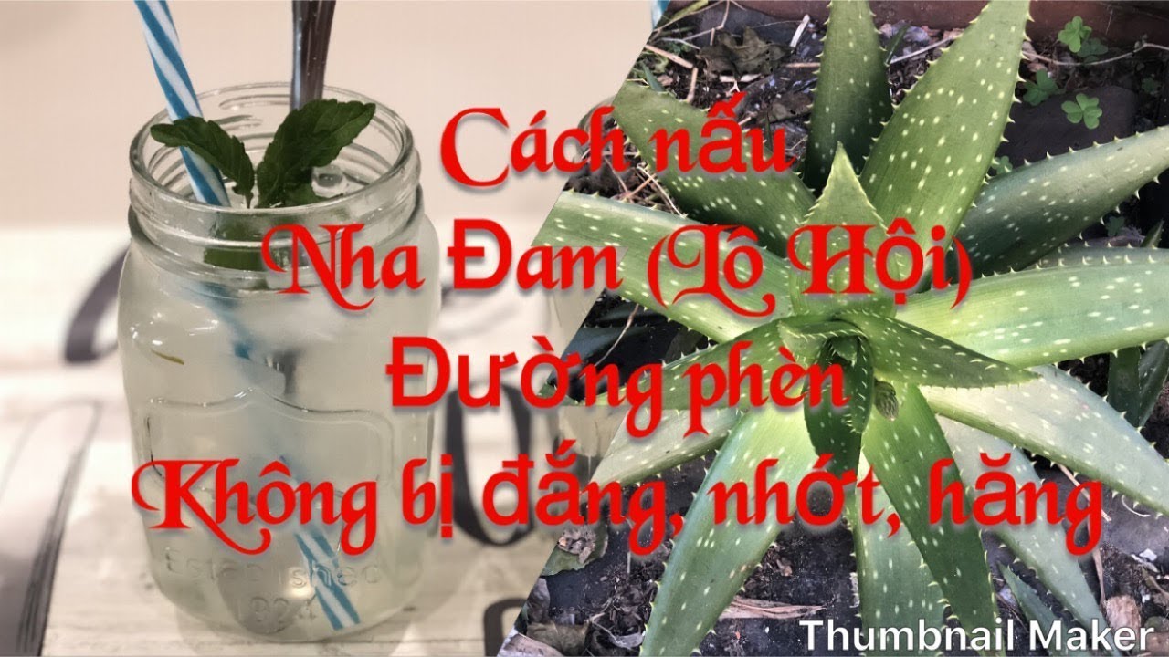 Hướng dẫn Cách nấu nha đam – Cách nấu NHA ĐAM (LÔ HỘI) Đường Phèn KHÔNG bị đắng, nhờn, hăng//🇺🇸 Kinh Tran Cuộc sống Mỹ