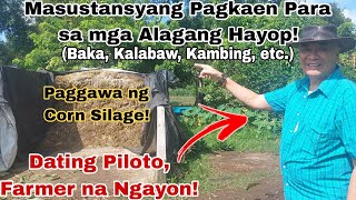 Dating Piloto, Full Time Farmer na! | Paggawa ng Corn Silage sa Farm ni Sir Mark Lotilla