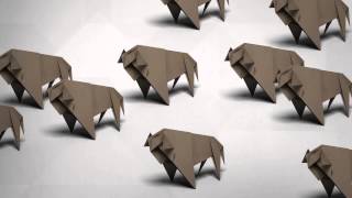 WWF Together - Bison