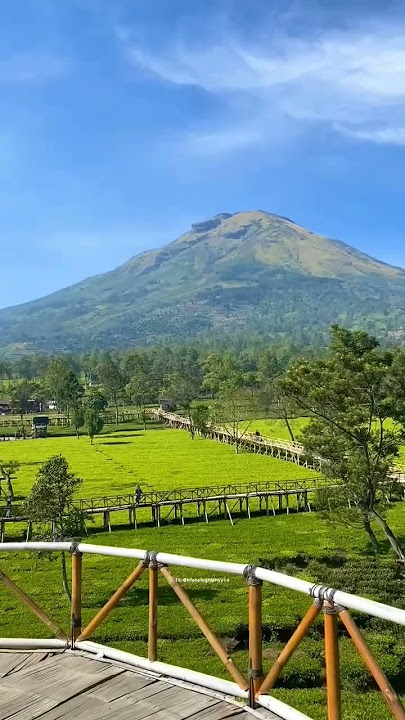 Armada - Cinta itu buta #armada #cintaitubuta #shhorts #katabijak