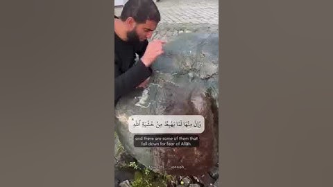 ماشاء الله #القرآن_الكريم #ارحقلبك #تلاوة_خاشعة #تلاوات