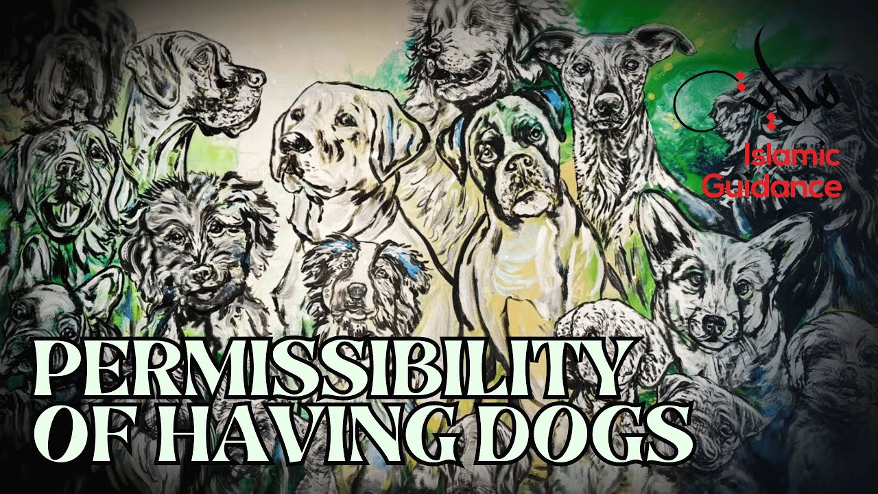 Допустимость содержания собак в исламе