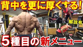 【筋トレ】更に背中を厚くする為にメニューを改善!!5種目で広背筋や僧帽筋を鍛える増量期のトレーニング【解説有】
