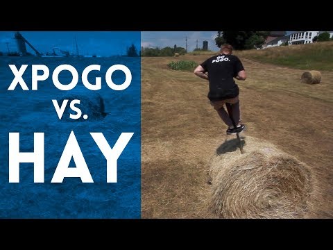 XPOGO -vs- HAY