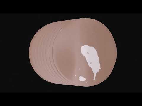 MULTIVAC AI Vision – Product Inspection with AI-Supported Visual Inspection for Packaging Line