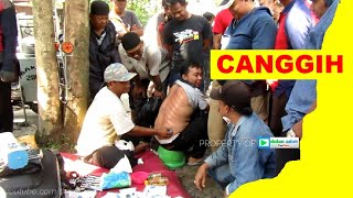 Alat Kerokan Canggih dari Bandung! Pasar Cebongan Pasar Kliwonan