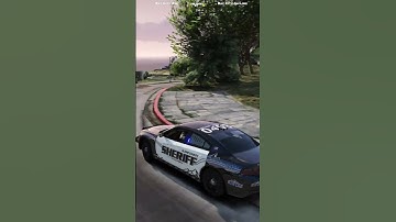 #cops WHAT? #fivem #gta5 #viral #fyp