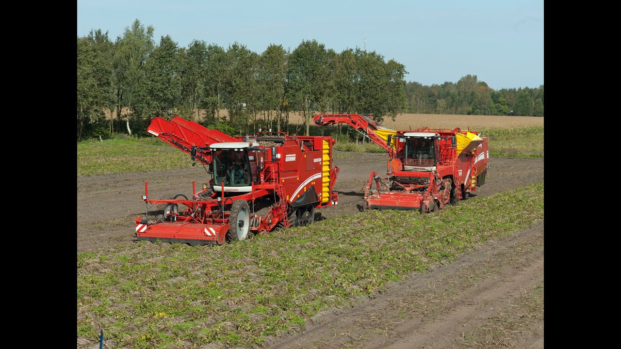 GRIMME | Best of potato harvesting technology 2011