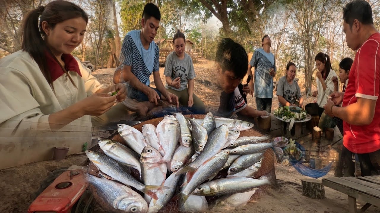 กินปลาหนองสาวสีทาได้ปลาเยอะมาก#สาวลาว #ชนบทลาว 