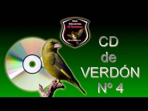 SILVESTRISMO. CD DE VERDERÓN Nº 4