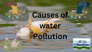 Causes of Water Pollution.