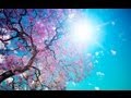 Beautiful SPRING RELAXATION Lounge Del Mar Chill Out Mix