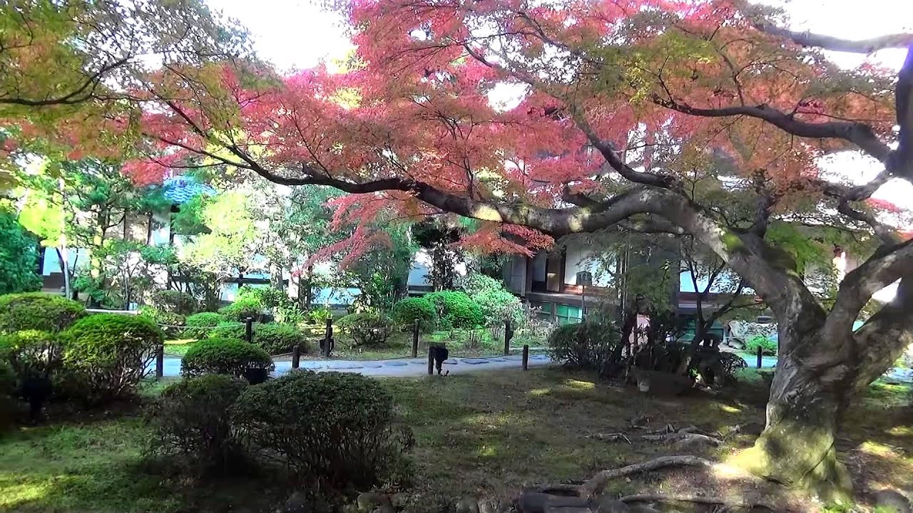 京都東山 青蓮院門跡の紅葉２０１４ Youtube