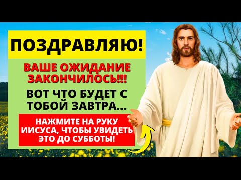 Бейне: Винни суды мәңгілікке ішкен бе?