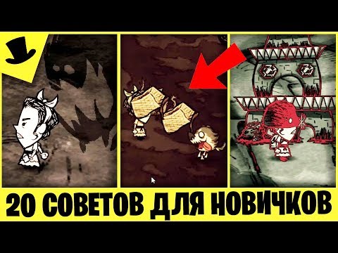 20 СОВЕТОВ НАЧИНАЮЩИМ Don't Starve Together [Дрожа]