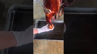燒肉 燒腩 Roasted Crispy Pork  Crispy Pork Belly