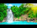 Música Para Relaxar Com Natureza  - Acalmar a Mente e Tranquilizar