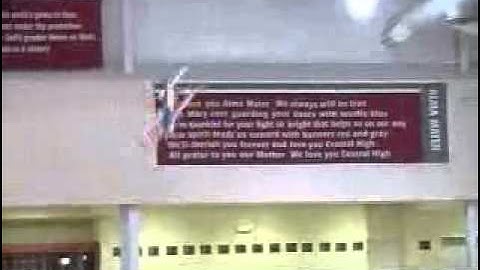 Fwd: Model airplane has a reversible pitch prop.