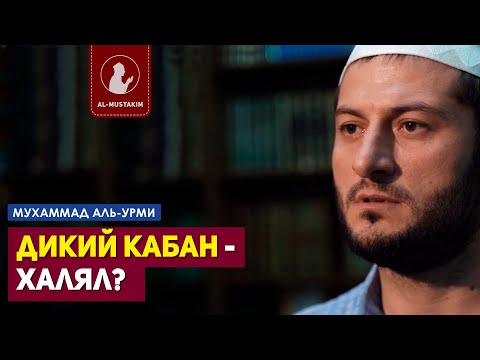 Дикий кабан - халял? Мухаммад аль-Урми