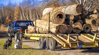 Hauling 100,000 POUNDS of sawmill logs with my Pickup