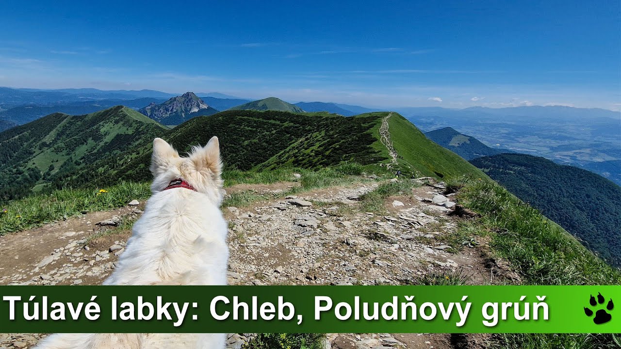 Túlavé labky: Vrátna - Chleb - Poludňový grúň (Malá Fatra)