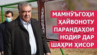 Эмомали Рахмон в Гиссаре открыл заповедник редких зверей и птиц / новости таджикистана